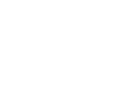 Il Dollaro
